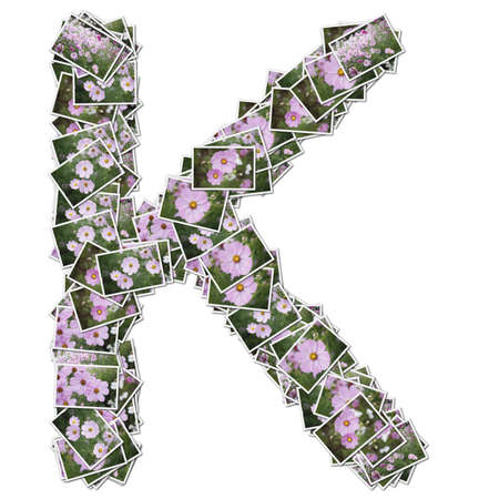 Alphabet flower Font, made from flower photo.の写真素材