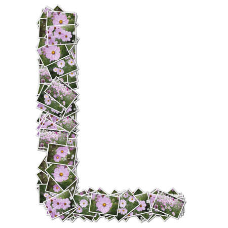 Alphabet flower Font, made from flower photo.の写真素材