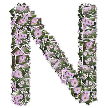 Alphabet flower Font, made from flower photo.の写真素材