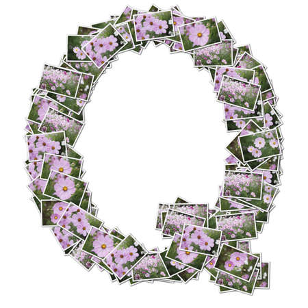 Alphabet flower Font, made from flower photo.の写真素材