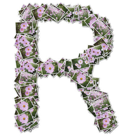 Alphabet flower Font, made from flower photo.の写真素材
