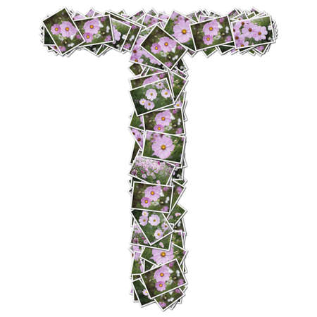 Alphabet flower Font, made from flower photo.の写真素材