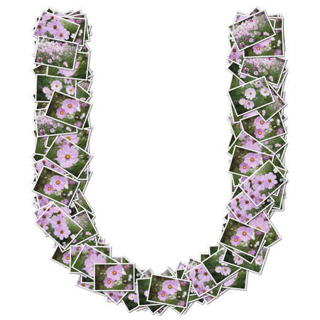 Alphabet flower Font, made from flower photo.の写真素材