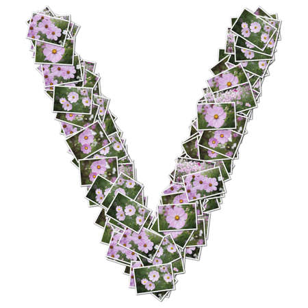 Alphabet flower Font, made from flower photo.の写真素材