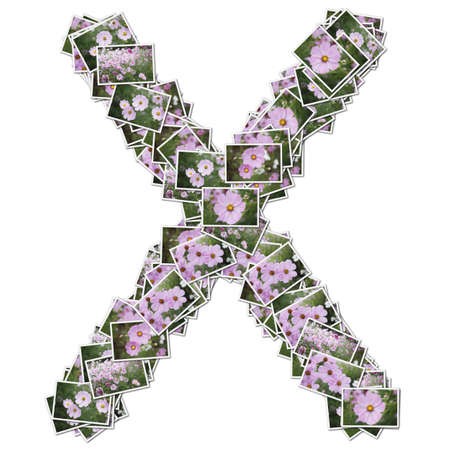 Alphabet flower Font, made from flower photo.の写真素材