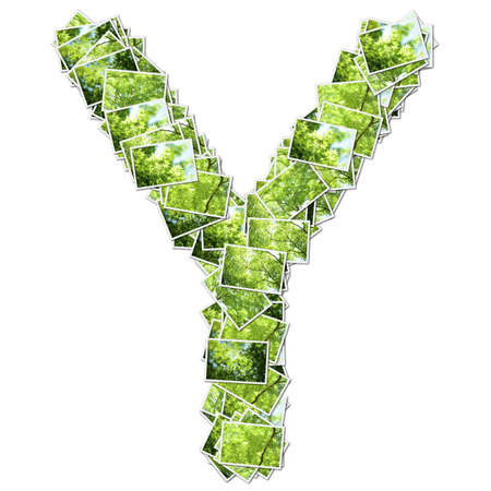 Alphabet green Font, made from green photo.の写真素材