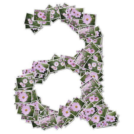 Alphabet flower Font, made from flower photo.の写真素材
