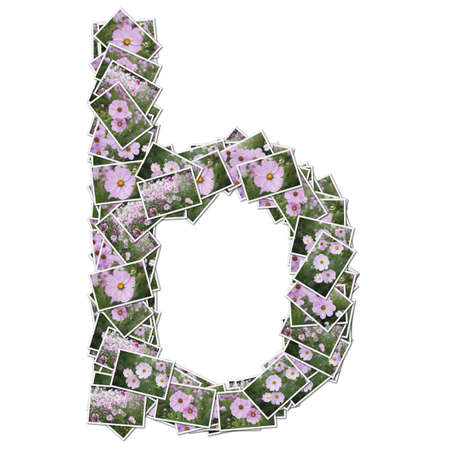 Alphabet flower Font, made from flower photo.の写真素材
