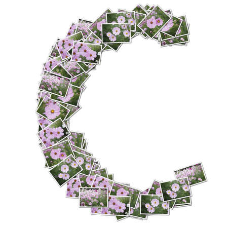 Alphabet flower Font, made from flower photo.の写真素材
