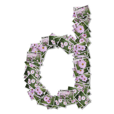 Alphabet flower Font, made from flower photo.の写真素材