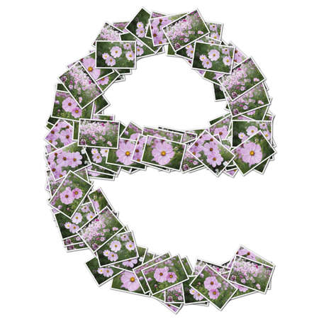 Alphabet flower Font, made from flower photo.の写真素材