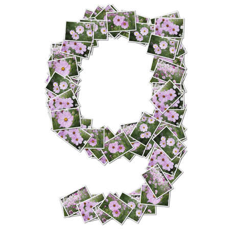 Alphabet flower Font, made from flower photo.の写真素材