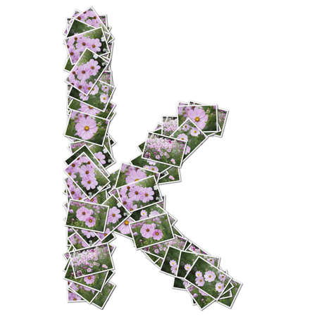 Alphabet flower Font, made from flower photo.の写真素材