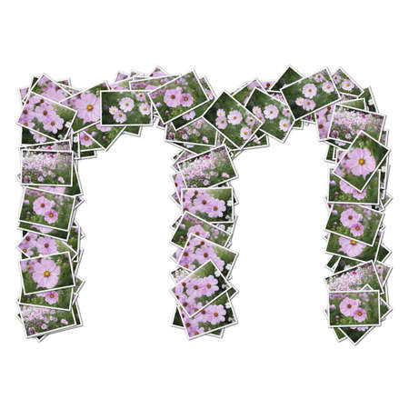 Alphabet flower Font, made from flower photo.の写真素材