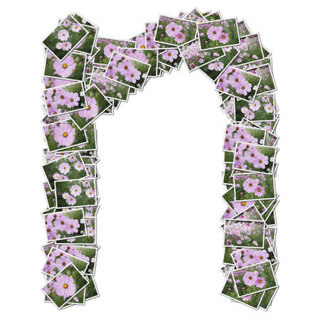 Alphabet flower Font, made from flower photo.の写真素材