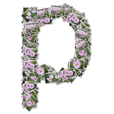Alphabet flower Font, made from flower photo.の写真素材