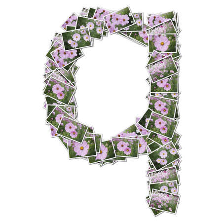 Alphabet flower Font, made from flower photo.の写真素材