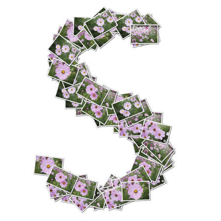 Alphabet flower Font, made from flower photo.の写真素材