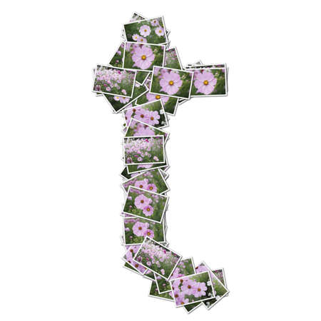 Alphabet flower Font, made from flower photo.の写真素材
