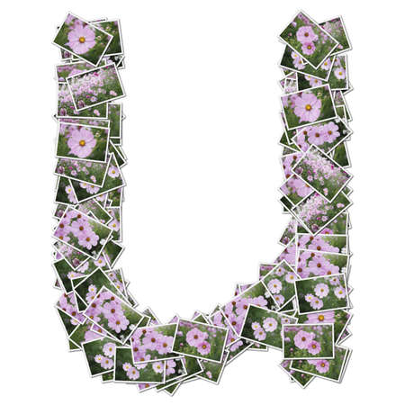 Alphabet flower Font, made from flower photo.の写真素材