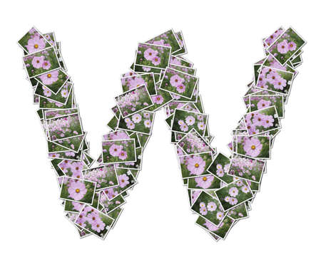 Alphabet flower Font, made from flower photo.の写真素材