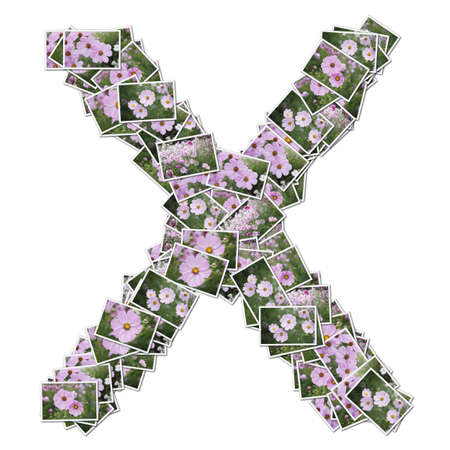 Alphabet flower Font, made from flower photo.の写真素材