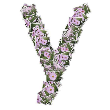 Alphabet flower Font, made from flower photo.の写真素材