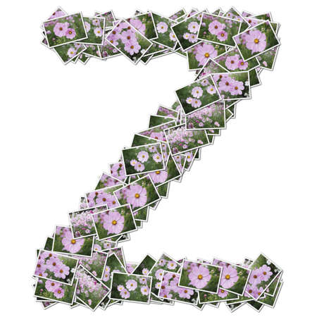 Alphabet flower Font, made from flower photo.の写真素材