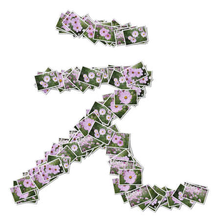 Japanese Characters hiragana, made from flower photo.の写真素材