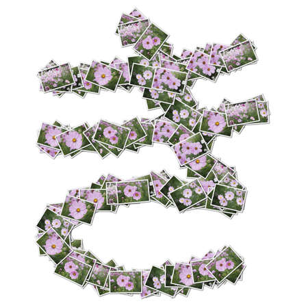 Japanese Characters hiragana, made from flower photo.の写真素材