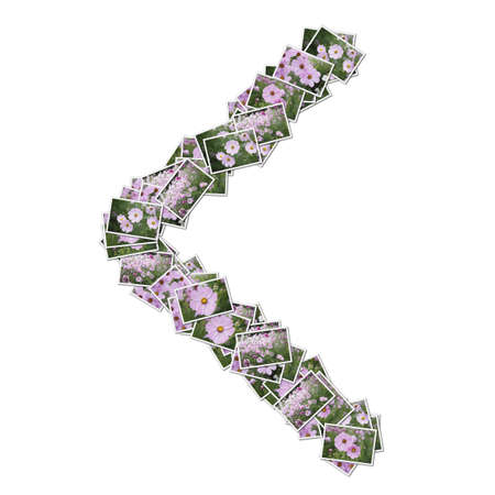 Japanese Characters hiragana, made from flower photo.の写真素材