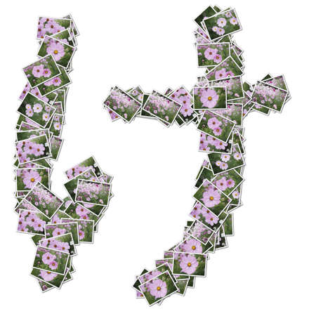 Japanese Characters hiragana, made from flower photo.の写真素材