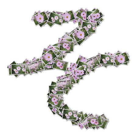Japanese Characters hiragana, made from flower photo.の写真素材
