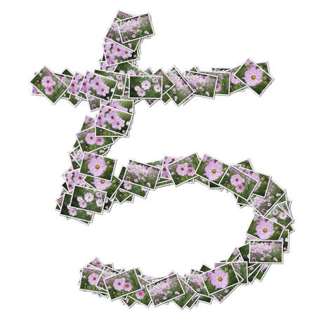 Japanese Characters hiragana, made from flower photo.の写真素材