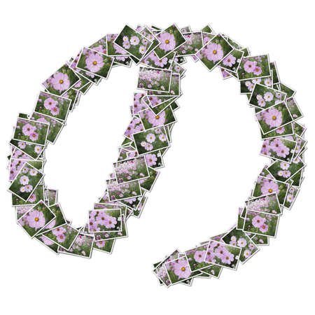Japanese Characters hiragana, made from flower photo.の写真素材