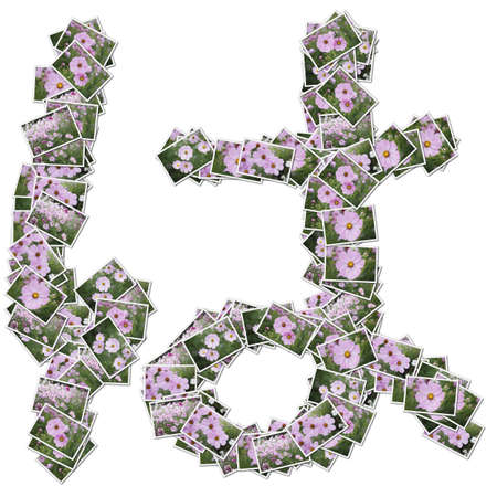 Japanese Characters hiragana, made from flower photo.の写真素材