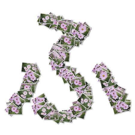 Japanese Characters hiragana, made from flower photo.の写真素材