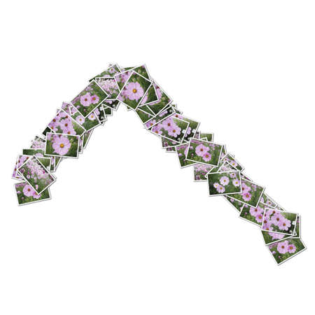 Japanese Characters hiragana, made from flower photo.