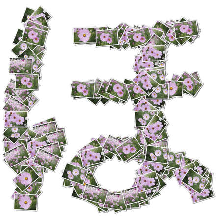 Japanese Characters hiragana, made from flower photo.の写真素材