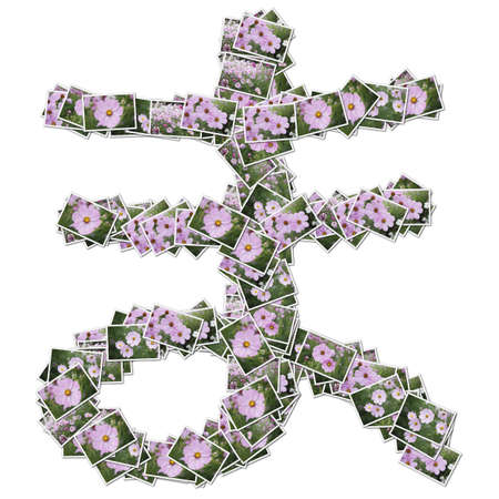 Japanese Characters hiragana, made from flower photo.の写真素材