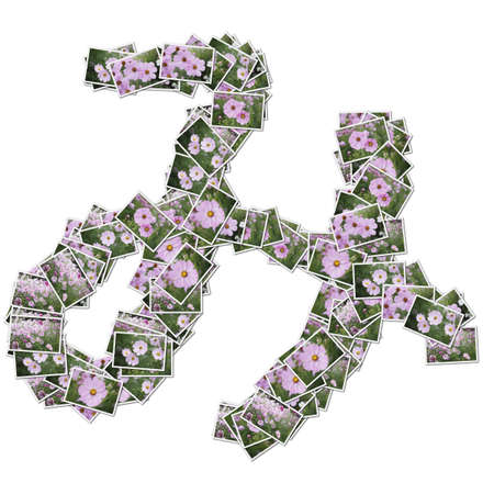 Japanese Characters hiragana, made from flower photo.の写真素材