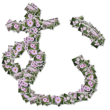 Japanese Characters hiragana, made from flower photo.の写真素材