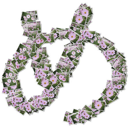 Japanese Characters hiragana, made from flower photo.の写真素材