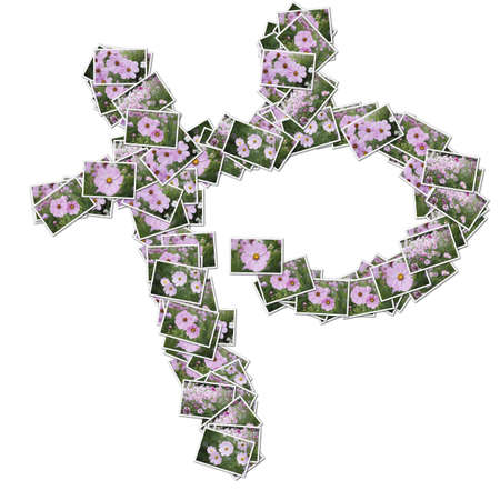 Japanese Characters hiragana, made from flower photo.の写真素材