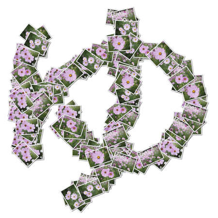 Japanese Characters hiragana, made from flower photo.の写真素材