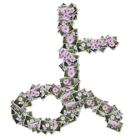 Japanese Characters hiragana, made from flower photo.の写真素材