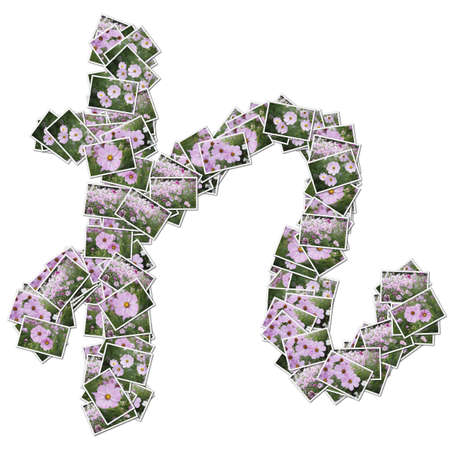Japanese Characters hiragana, made from flower photo.の写真素材