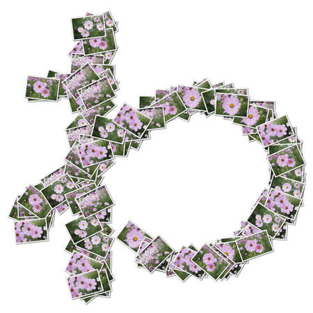 Japanese Characters hiragana, made from flower photo.の写真素材