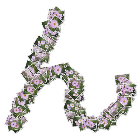 Japanese Characters hiragana, made from flower photo.の写真素材