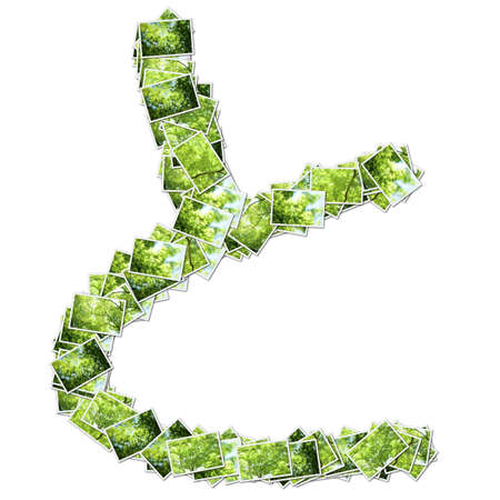 Japanese Characters hiragana, made from green photo.の写真素材